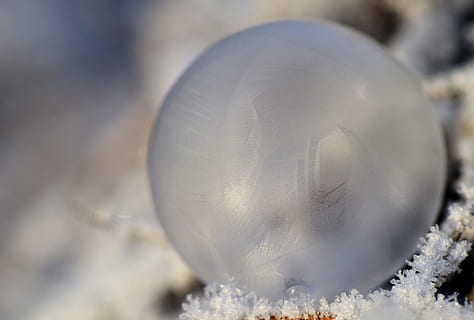 close up photography of bauble ball, bubble, soap bubble, frozen HD wallpaper