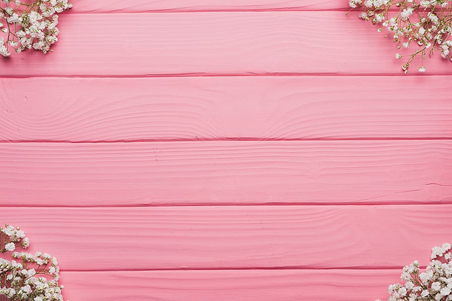 flowers, petals, pink, bloom, blooming, blossom, bright, close -up HD wallpaper