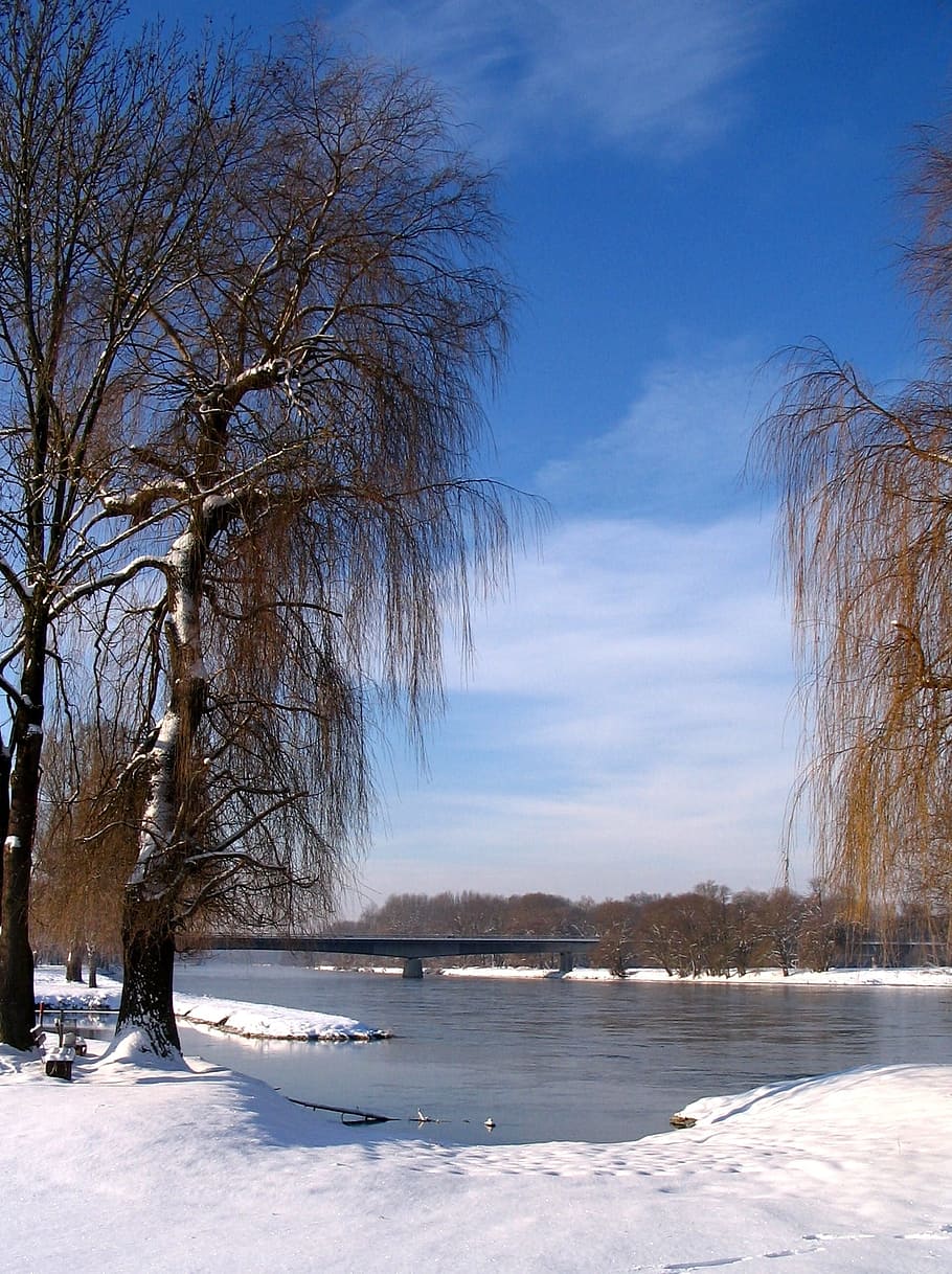 Germany, Landscape, Trees, Clouds, sky, winter, snow, ice, bridge HD wallpaper