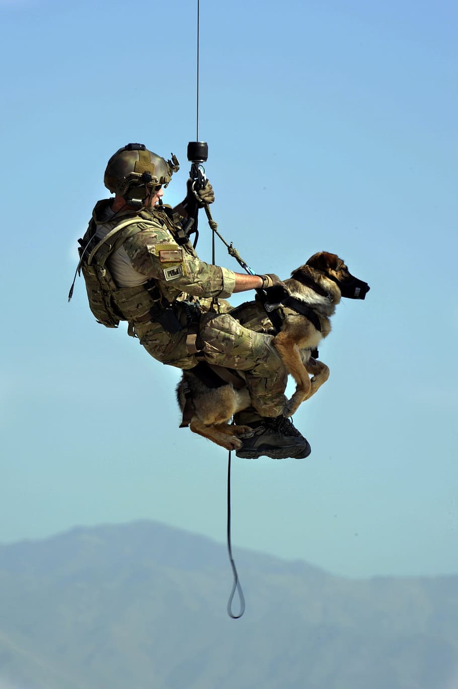 male soldier carrying a dog on outdoors, Dog, Rescue, Canine