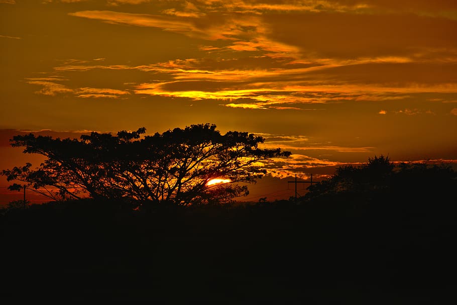 sunset, dusk, panoramic, tree, evening, clouds, sunlight, scenic HD wallpaper