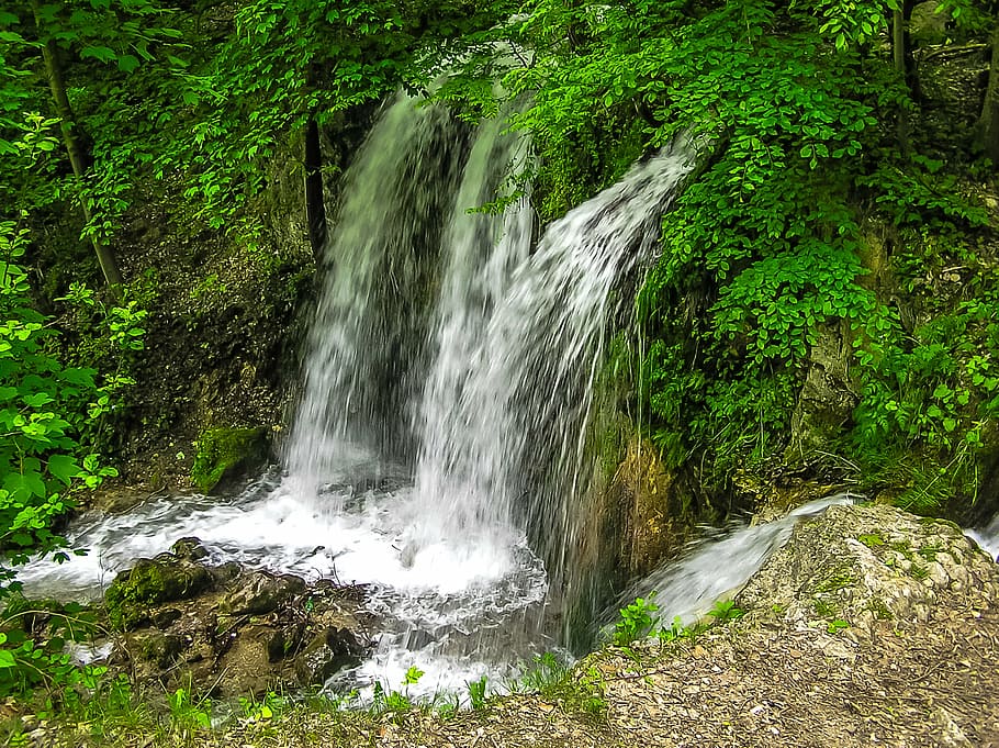 waterfalls surrounded plants, nature, forest, river, stream HD wallpaper
