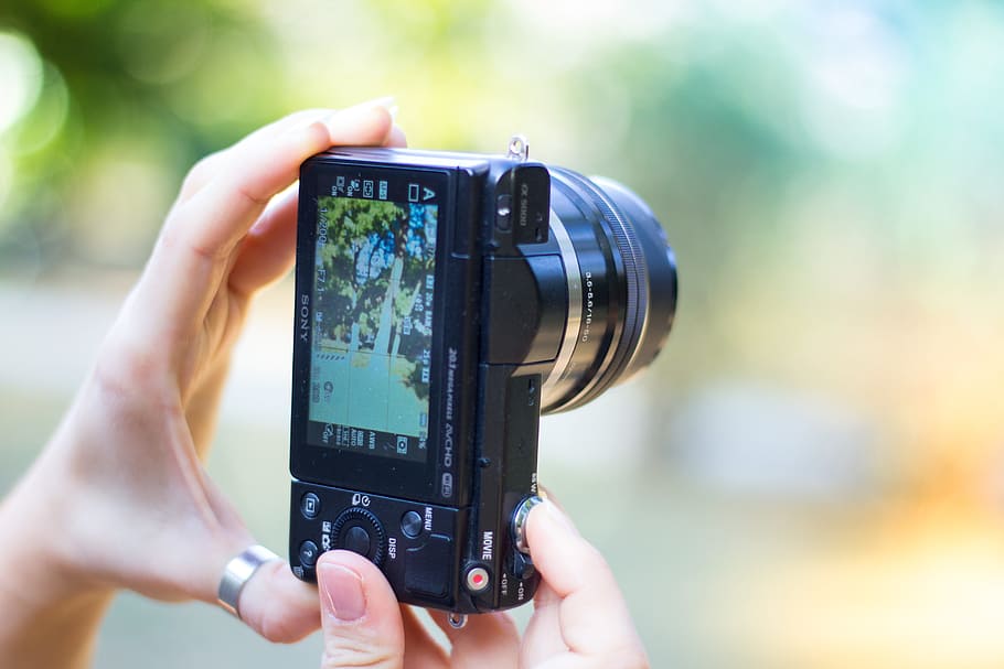 hand, camera, summer, photography, blur, close-up, contemporary HD wallpaper