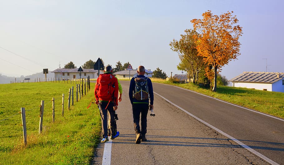 excursion, walk, road, autumn, trees, mountain, the european path HD wallpaper