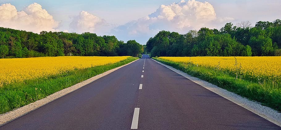 road, rape, clouds, spring, nature, rural Scene, agriculture HD wallpaper