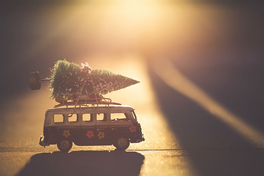 white and black bus with green pine tree scale model, Volkswagen van carrying Christmas tree scale model