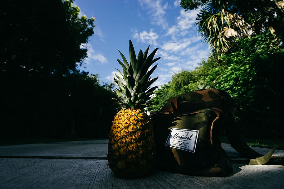 road, nature, path, travel, army, backpack, fruit, pineapple HD wallpaper