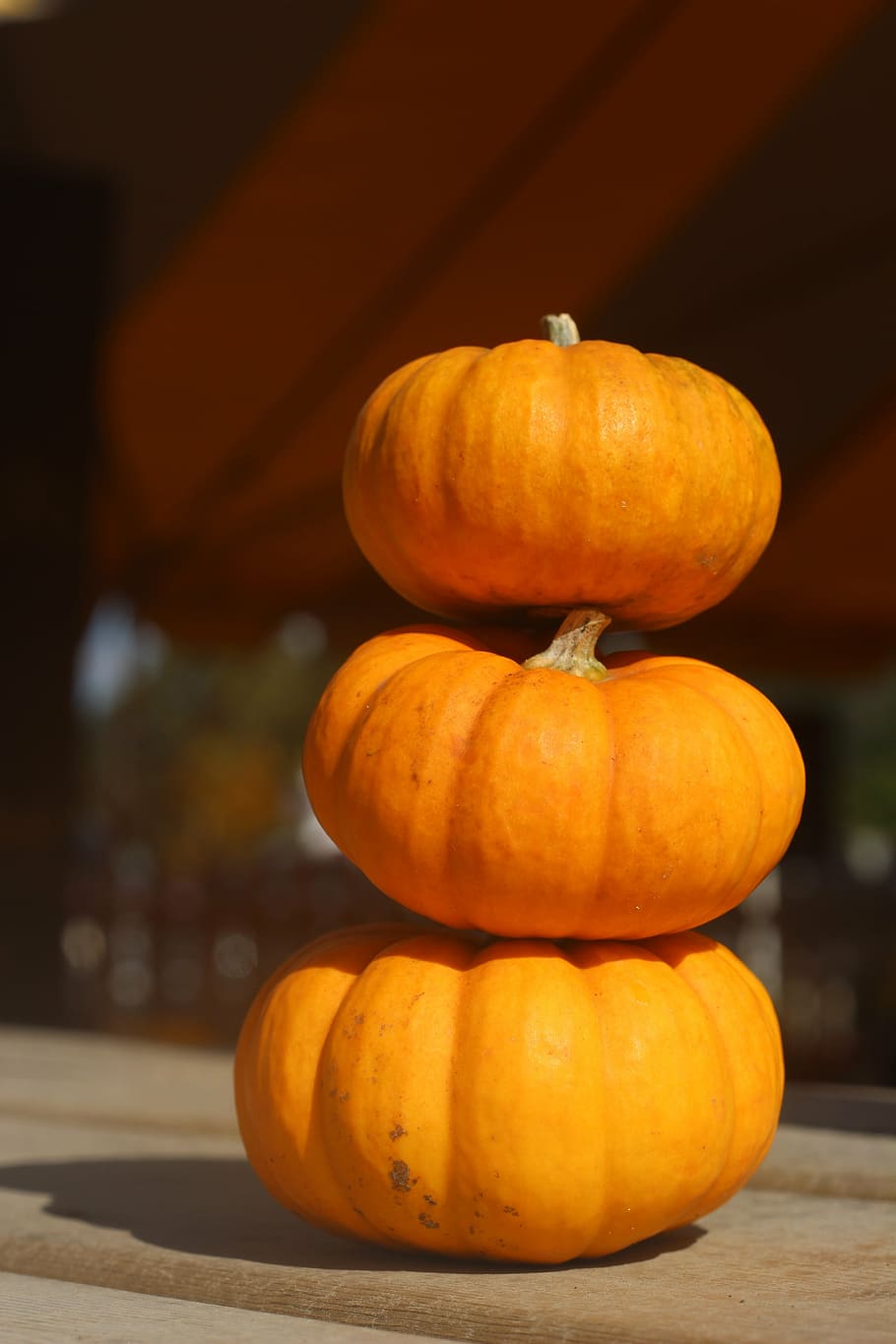 pumpkin, fall, autumn, halloween, orange, holiday, harvest HD wallpaper