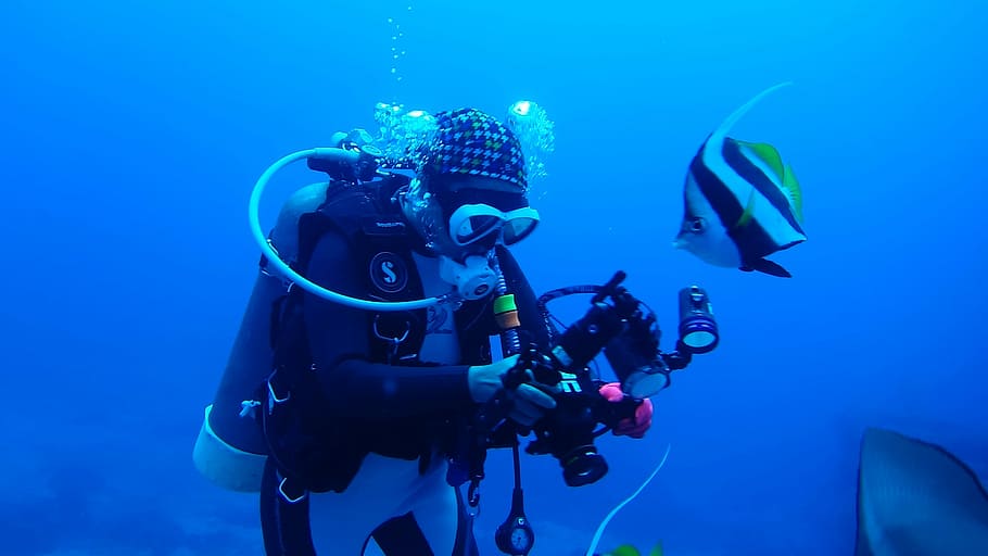 person holding camera in body of water, diving, divers, underwater