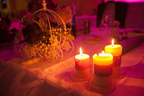 table, setup, cloth, flower, candle, light, dinner, date, burning HD wallpaper