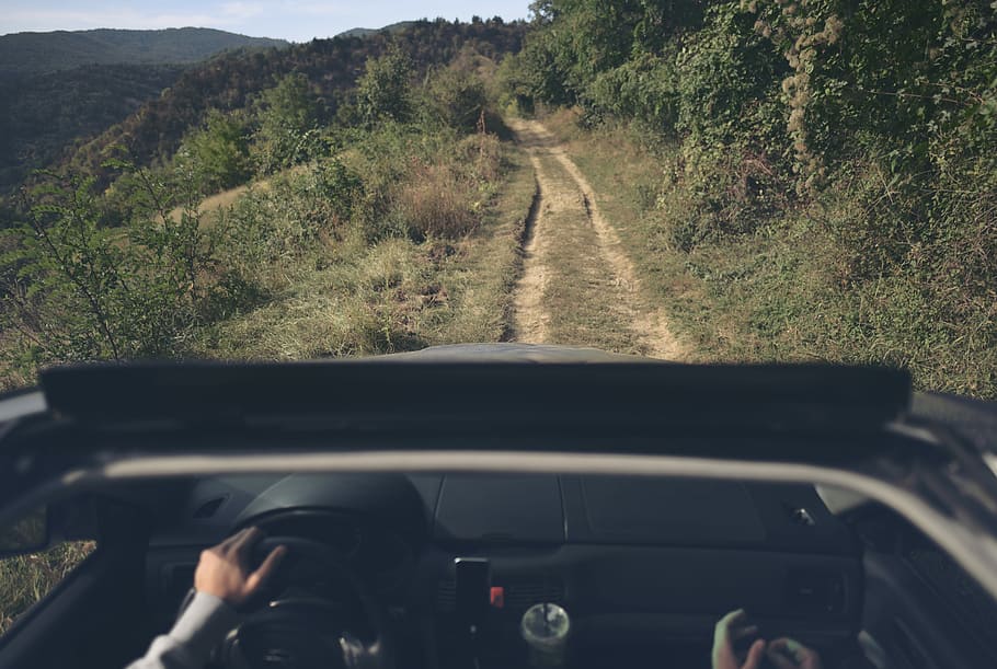 person driving on car, road, path, trail, forest, transportation HD wallpaper