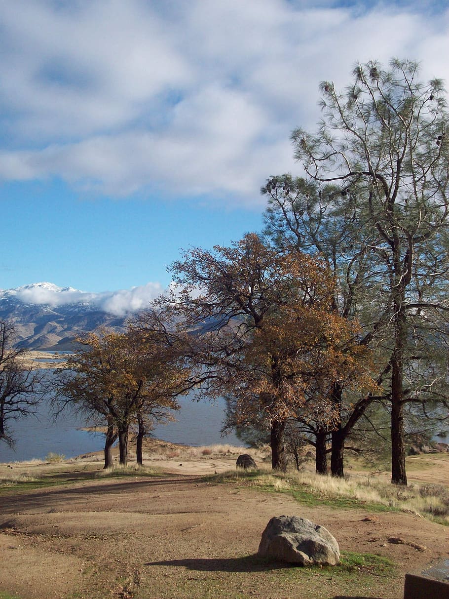 Idyllic, Lake, Clouds, Trees, Oak, sky, landscape, water, nature HD wallpaper