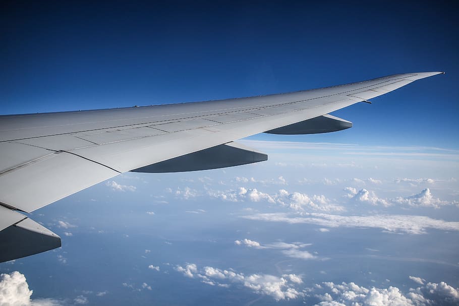 gray plane, aircraft, wing, clouds, sky, fly, outlook, travel HD wallpaper
