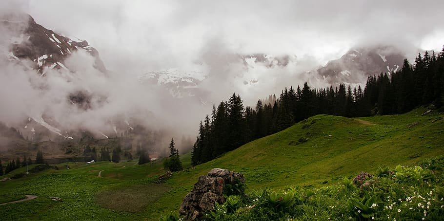 fog, alps, austria, mountains, environment, cloud - sky, landscape HD wallpaper