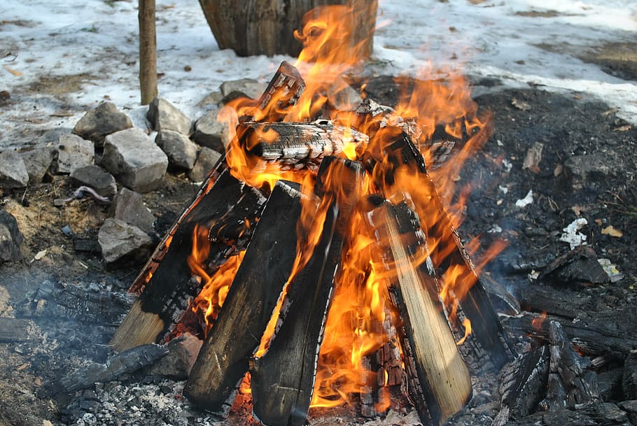 fire wood burning, koster, flame, bonfire, coals, burns, fever HD wallpaper