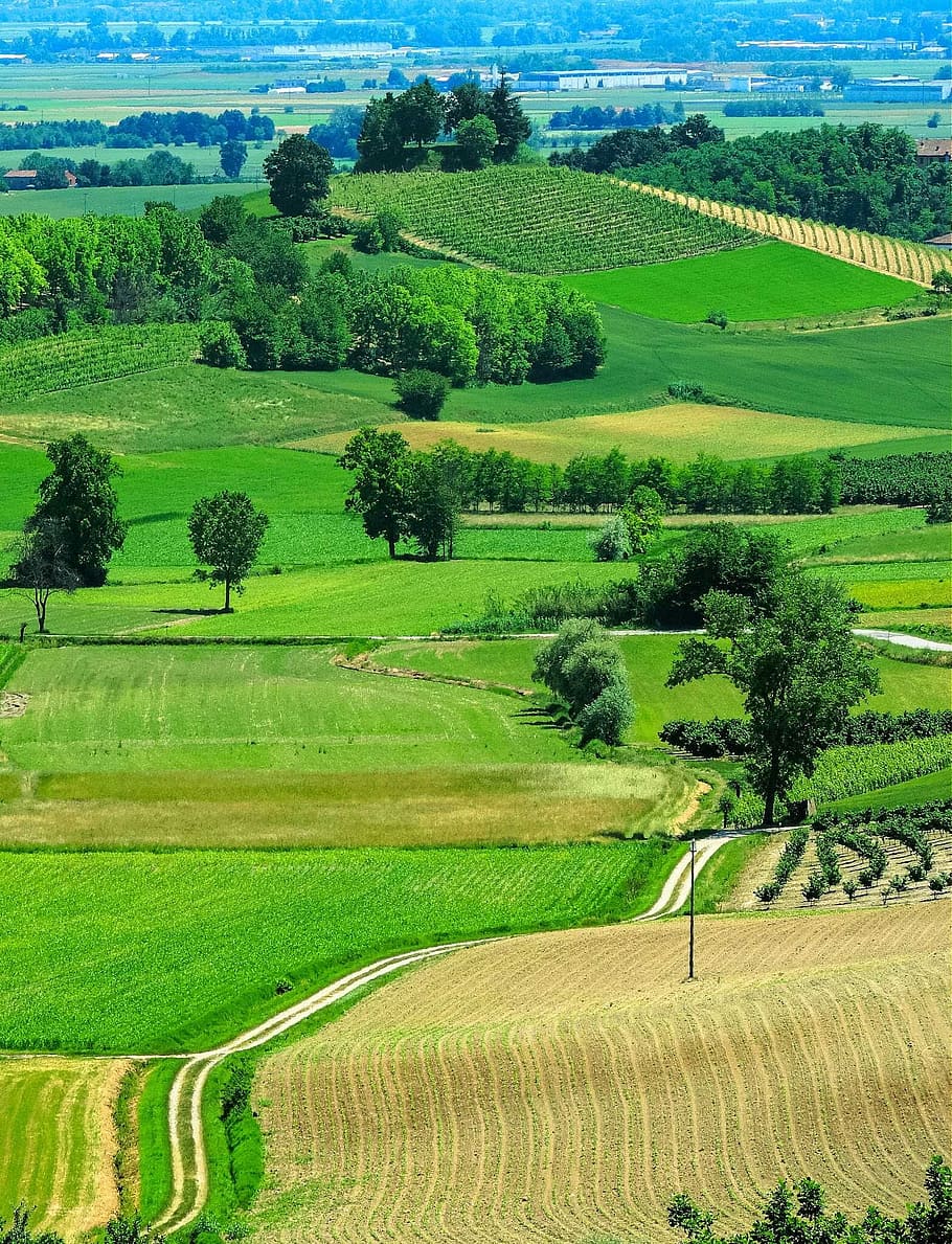 aerial view photography of rice field, monferrato, cuccaro HD wallpaper