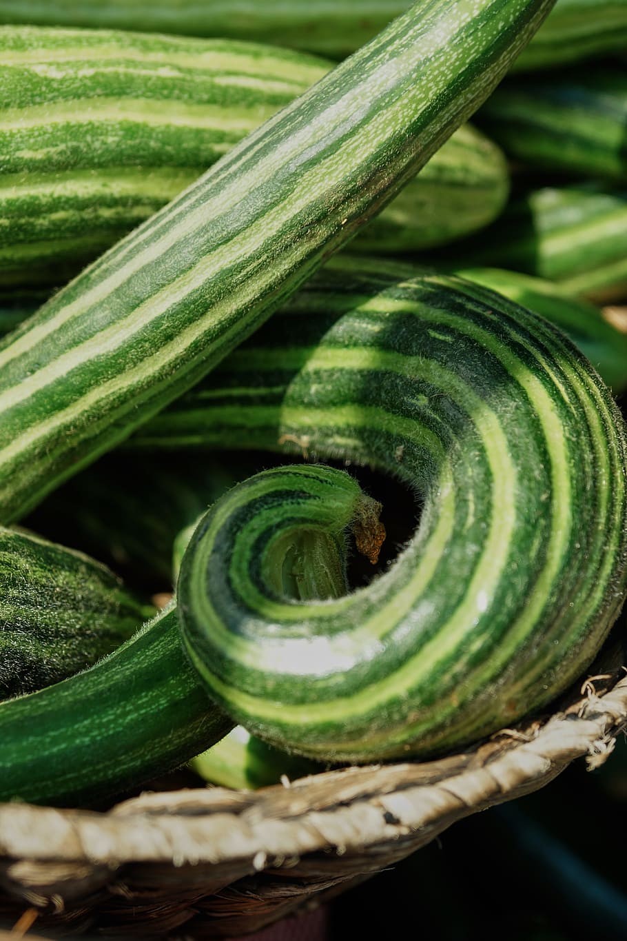 cucumber, green, stripe, vegetable, food, healthy, market, green color HD wallpaper