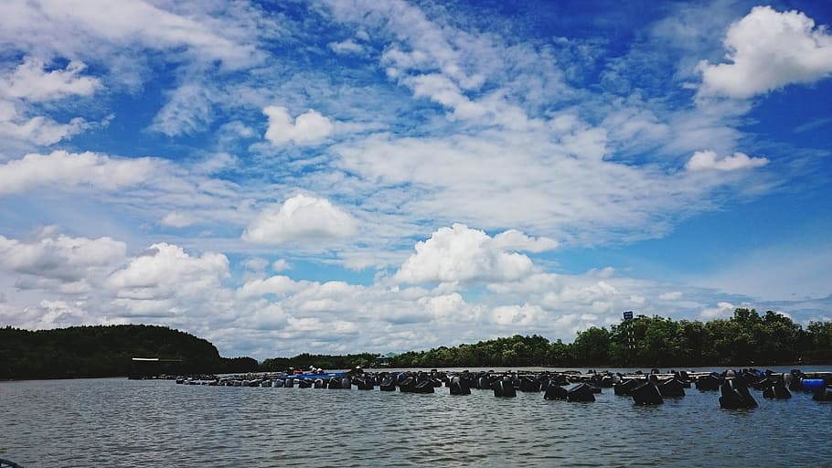 Photography of Green Trees Near Body of Water Under Cloudy Sky during Daytime HD wallpaper