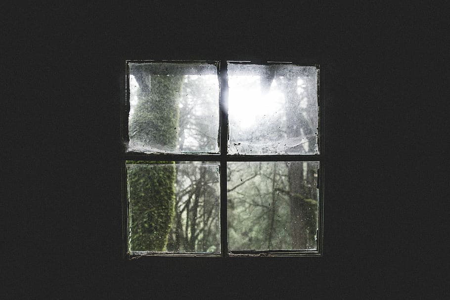 Glass window panel, black, gray, green, lights, trees, white HD wallpaper