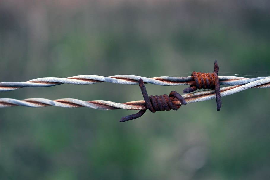 barbed wire, rust, rusty, bound, twisted, sadness, abandonment HD wallpaper