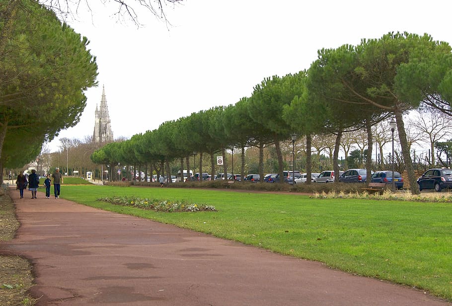 la rochelle, france, city, park, plaza, sidewalk, trees, grass, HD wallpaper