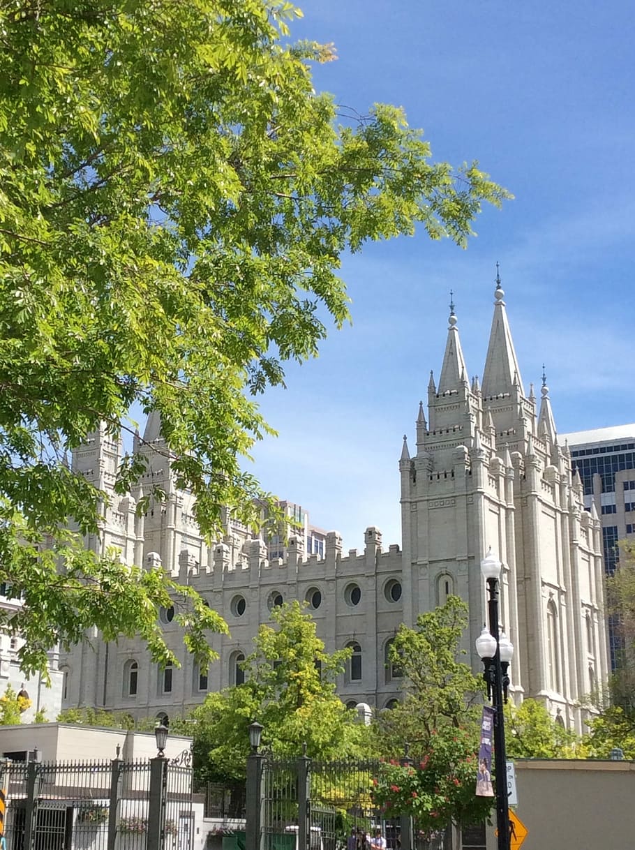 Mormon, Temple, Salt Lake, Tree, city, landmark, utah, building, HD wallpaper