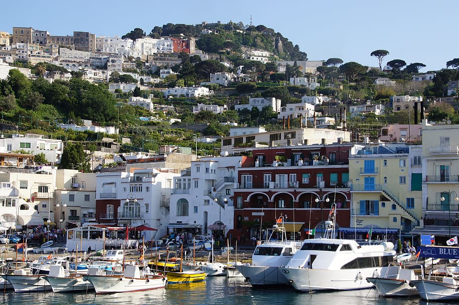 yachts on dock, Capri, Italy, Travel, Island, Sea, mediterranean