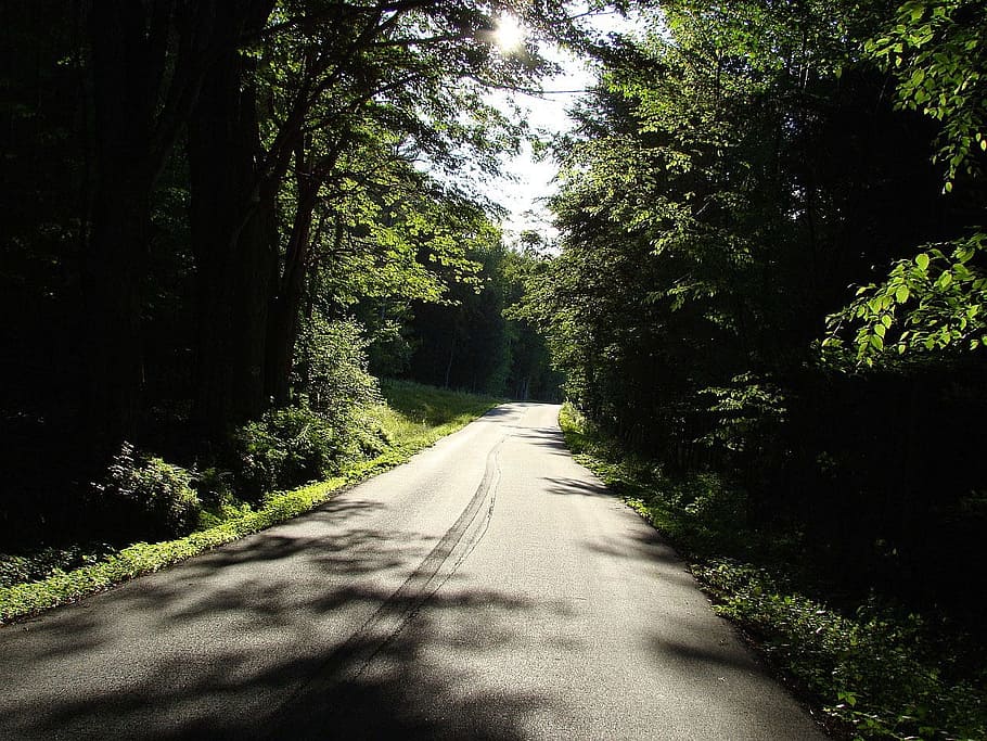 road, forest, path, route, dark, day, light, outdoors, landscape HD wallpaper