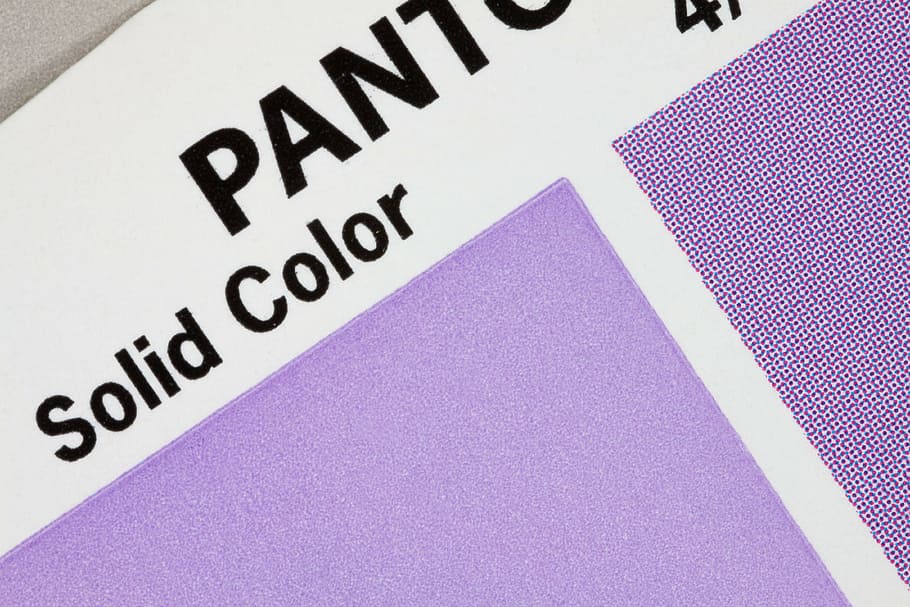 purple color, color fan, pantone, printing inks, concentrated, HD wallpaper