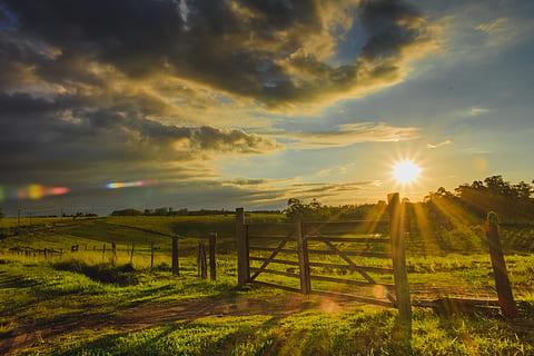 sunset, nature, sol, landscape, sky, outdoors, summer, farm HD wallpaper