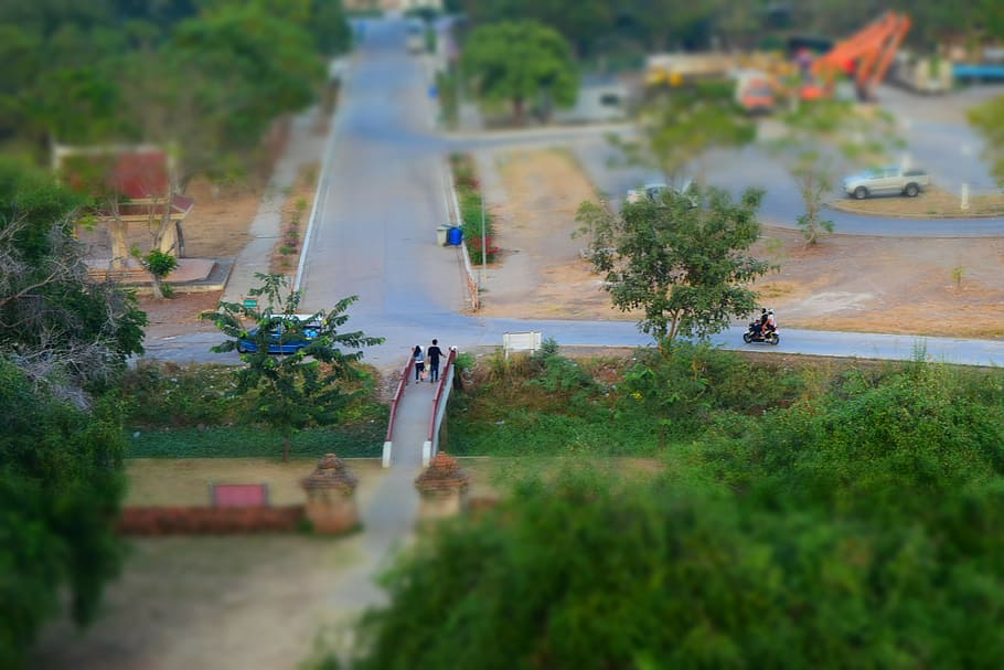 view, gold mountain, tree, plant, high angle view, tilt-shift HD wallpaper