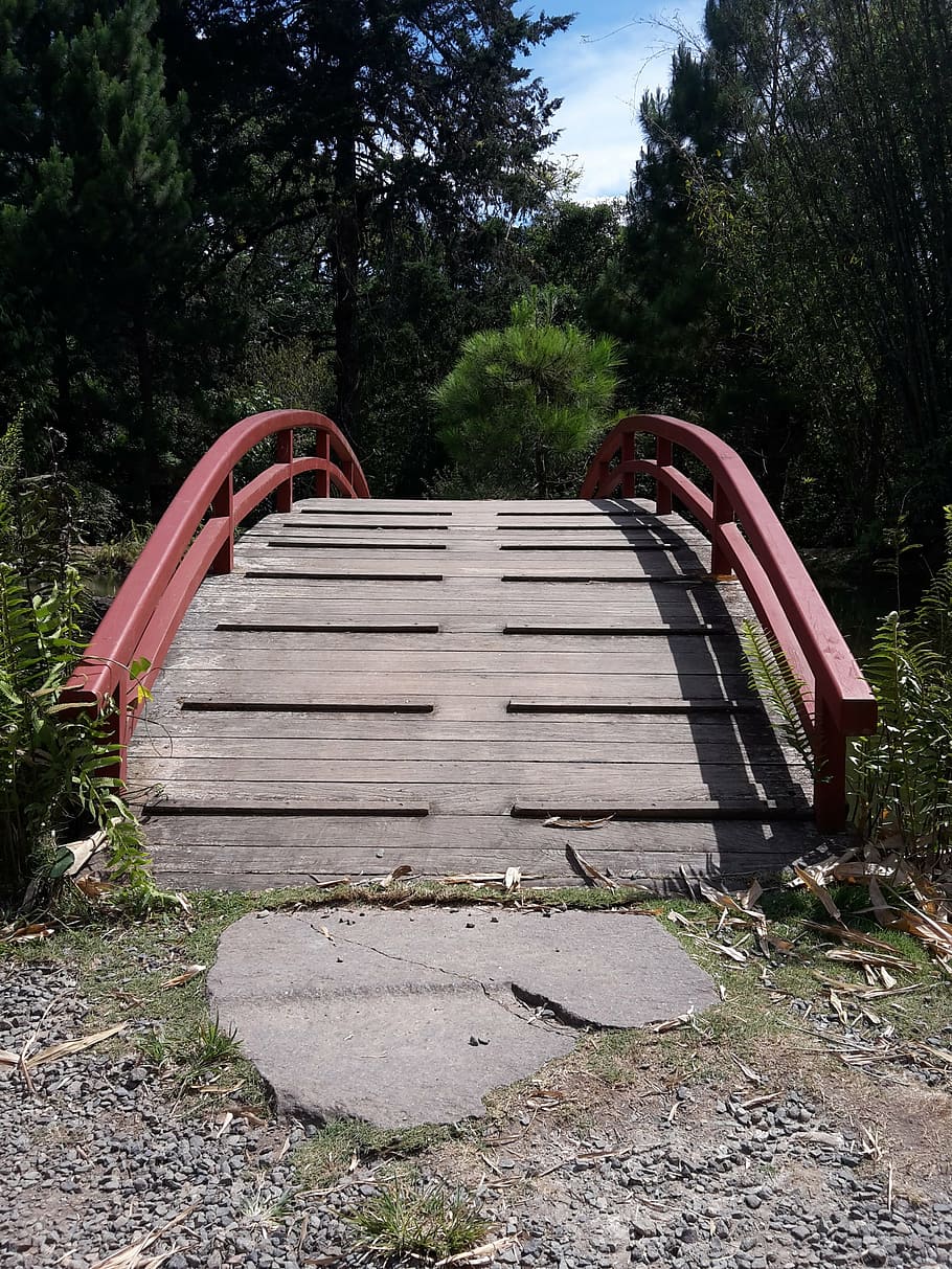 bridge, landscape, building, plant, nature, tree, day, empty HD wallpaper