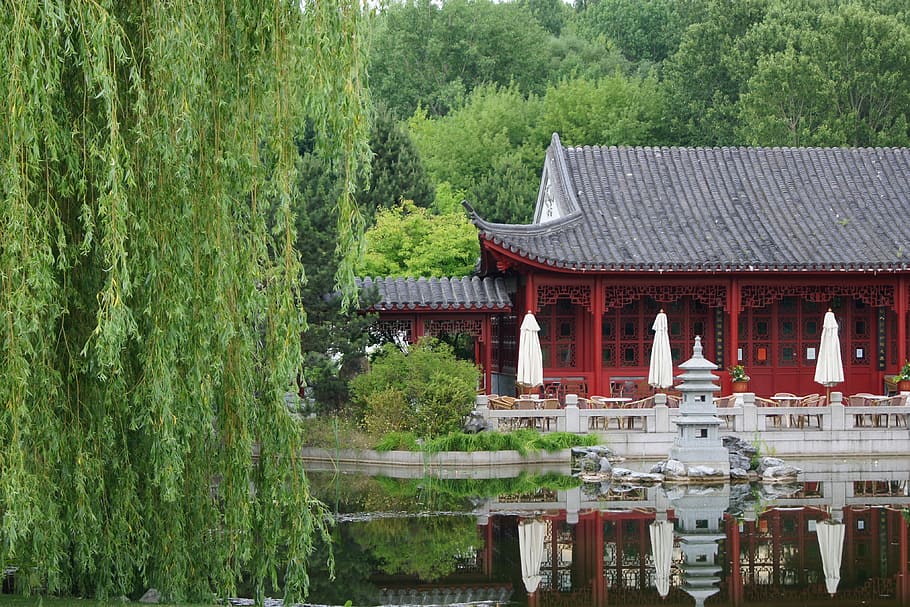 chinese garden, berlin, wood, tree, wooden, house, reflection HD wallpaper
