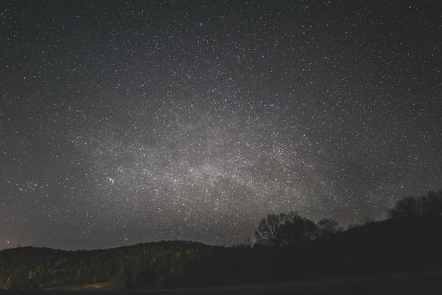 dark, nature, night, sky, stars, trees, star - Space, astronomy HD wallpaper