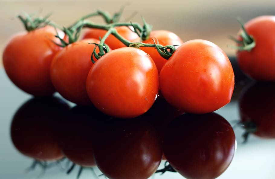 tomatoes, red, fresh, vegetable, food, salad, healthy, nutrition HD wallpaper