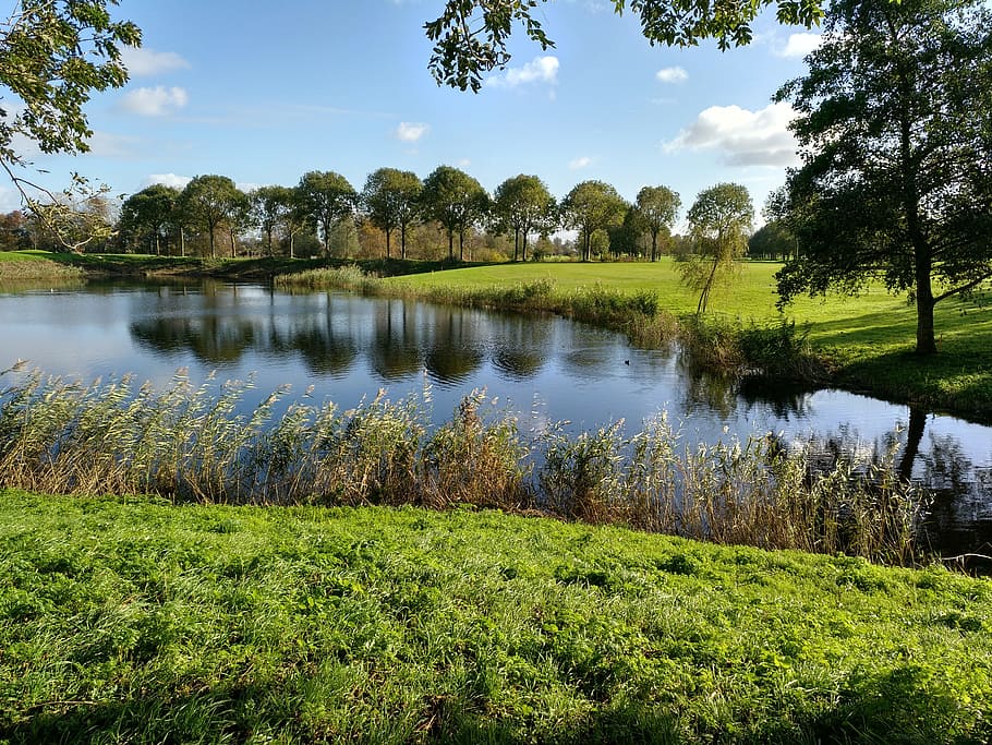 golf, reflection, trees, landscape, river, pond, nature, lake HD wallpaper