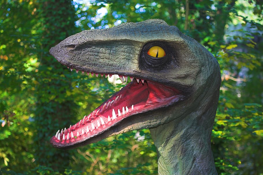 ceramic dinosaur outdoors, forest, teeth, image, animal, animal themes HD wallpaper