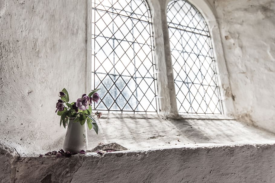 white ceramic vase beside window, sunlight, flowers, bouquet HD wallpaper