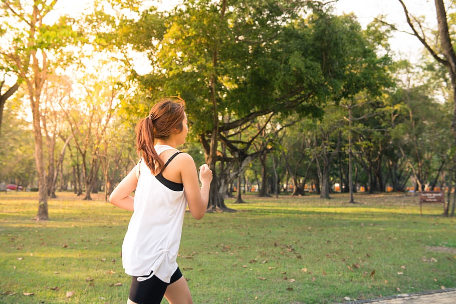 healthy, dawn, woman, forest, dusk, grass, jogging, leaves, park HD wallpaper