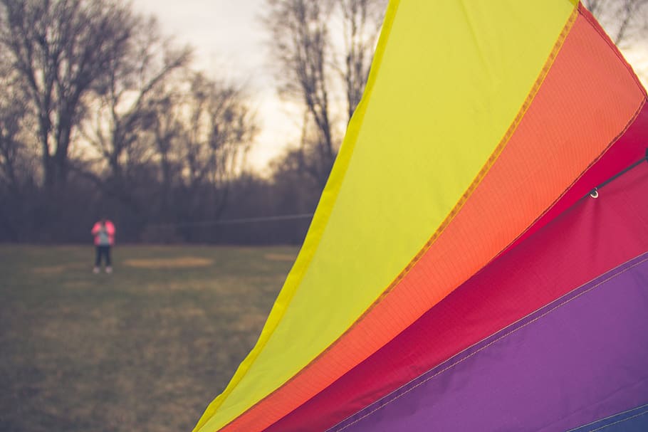 kite, park, colors, one person, real people, tree, plant, day HD wallpaper