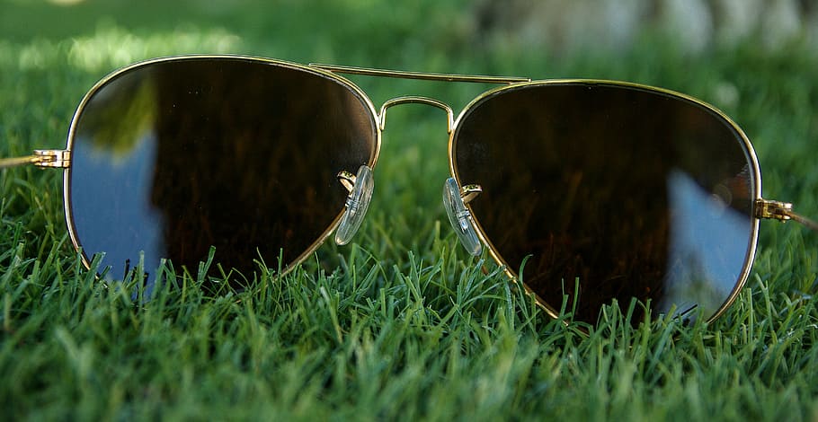 sunglasses, protection, eyes, view, grass, plant, nature, selective focus