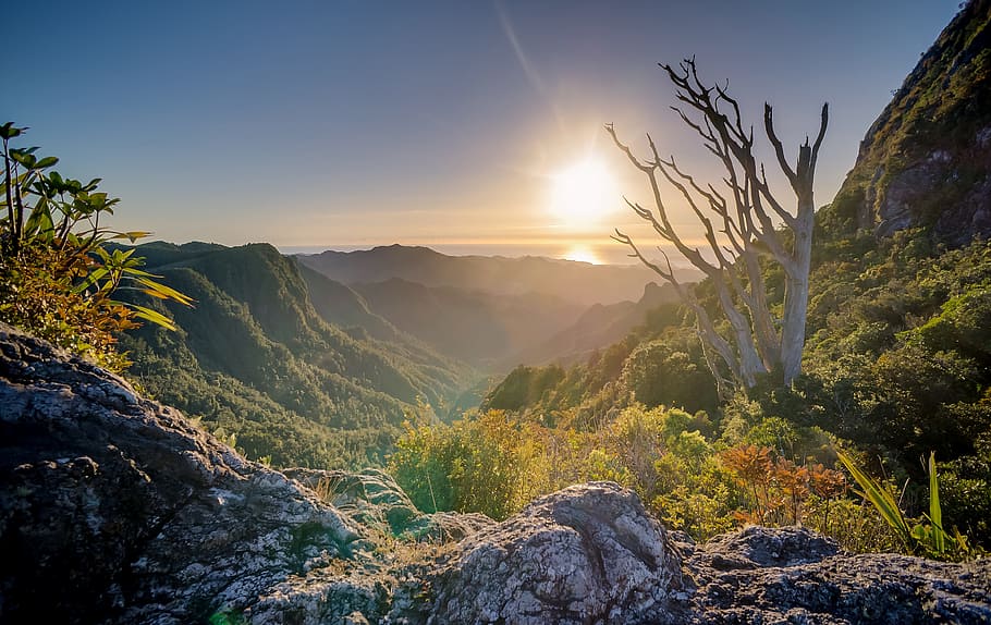 view of mountain range during sunrise, valley, landscape, vegetation HD wallpaper