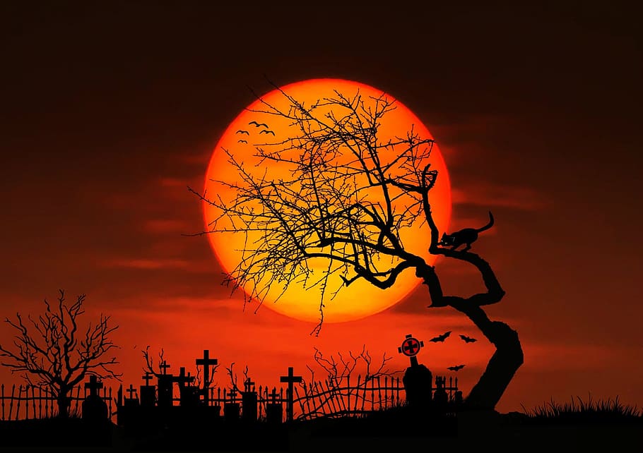 silhouette of leafless tree, painting, moon, night, full moon, HD wallpaper