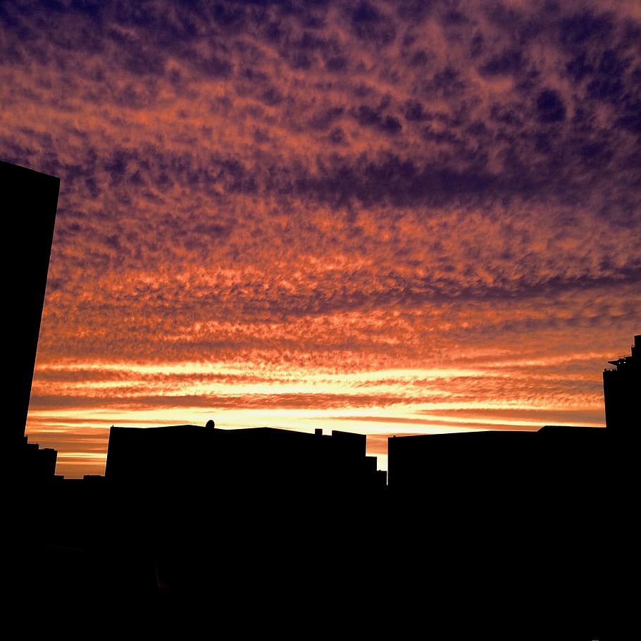 sunset, urban, sky, skyline, silhouette, architecture, built structure HD wallpaper