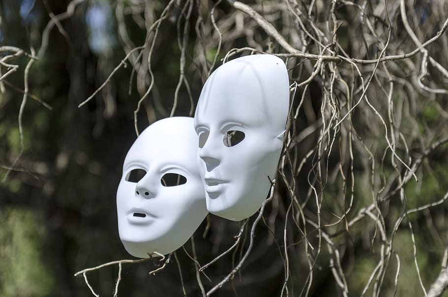 shallow focus photo of white volto masks on brown tree stems HD wallpaper