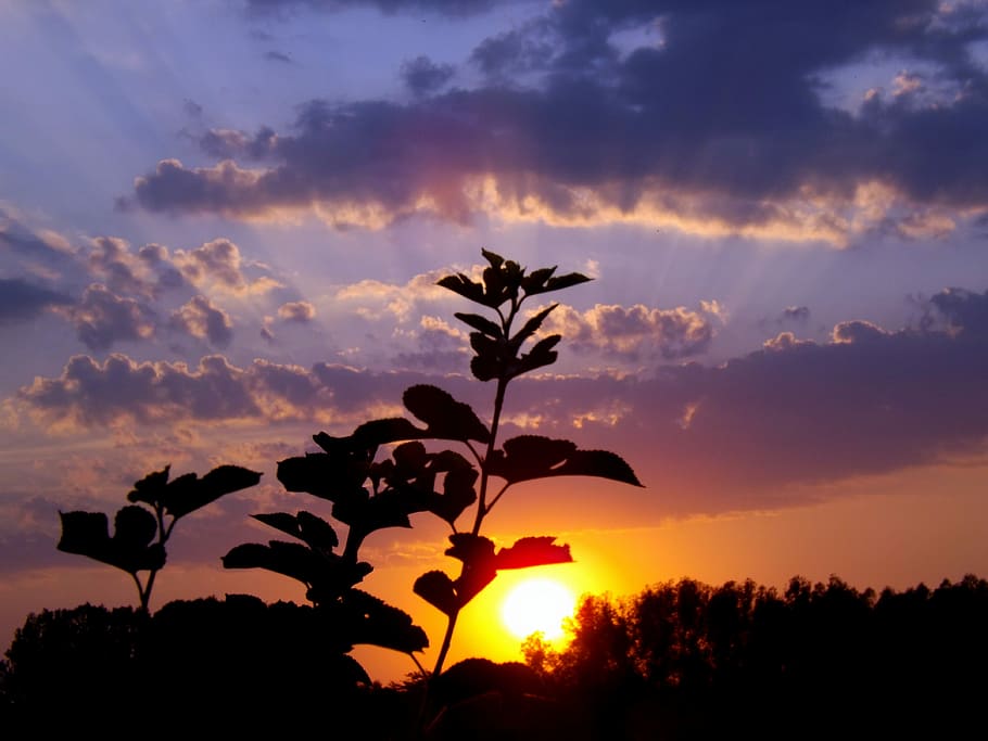 Sunset, Water, Reflection, Twilight, in the evening, shadow HD wallpaper