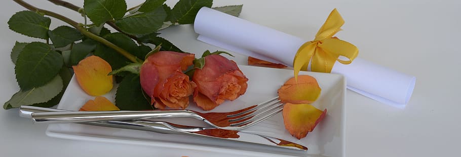 stainless steel for and knife on white platter, roses, rose flower, HD wallpaper