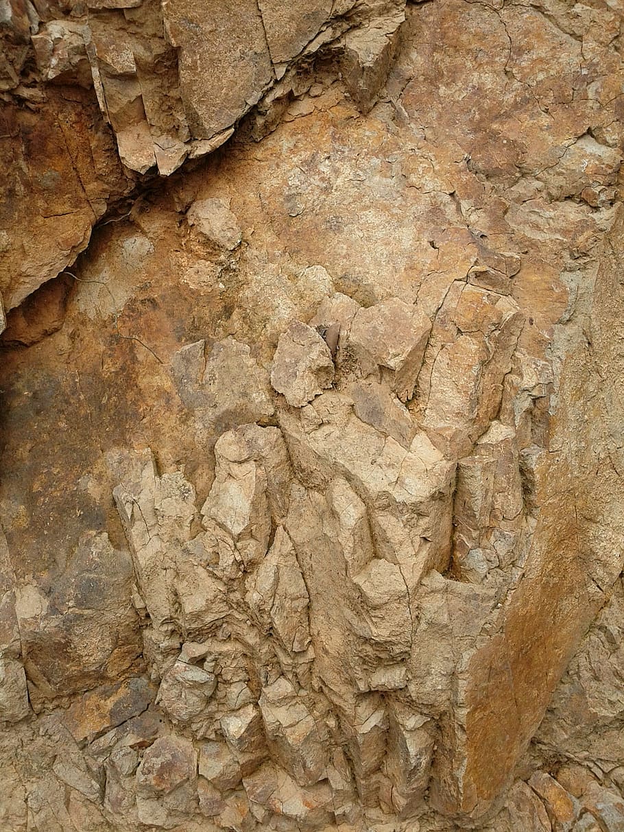 texture, red clay, rock, nature, tree, backgrounds, brown, textured HD wallpaper