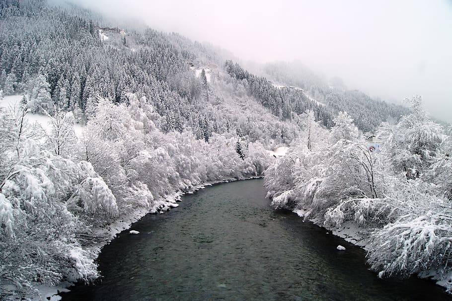 Winter, Snow, Wintry, Nature, winter bushes, river, fog, snowy HD wallpaper
