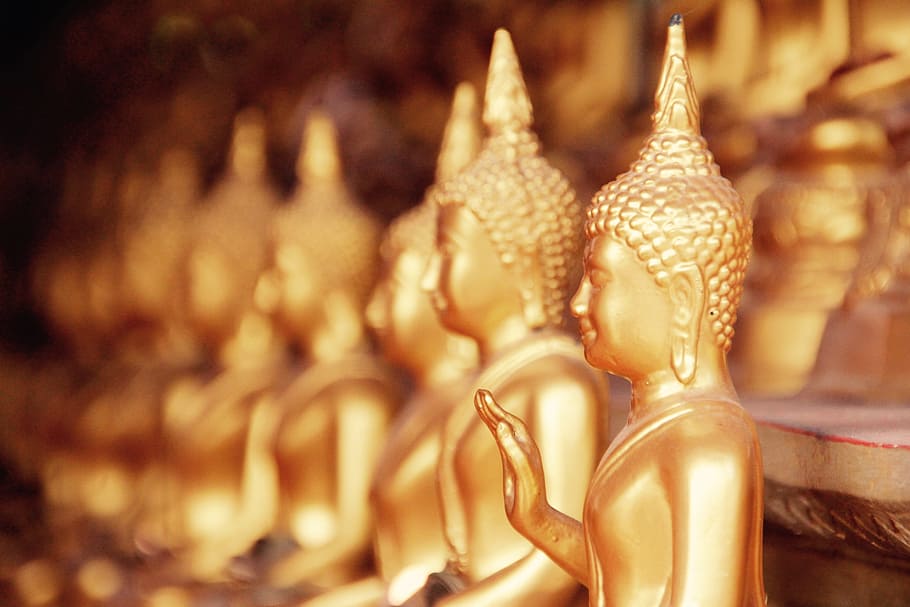 Buddha figurine closeup photography, Bangkok, Gold, Meditation, HD wallpaper